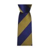 Blue And Yellow Stripe Tie by Sax Design