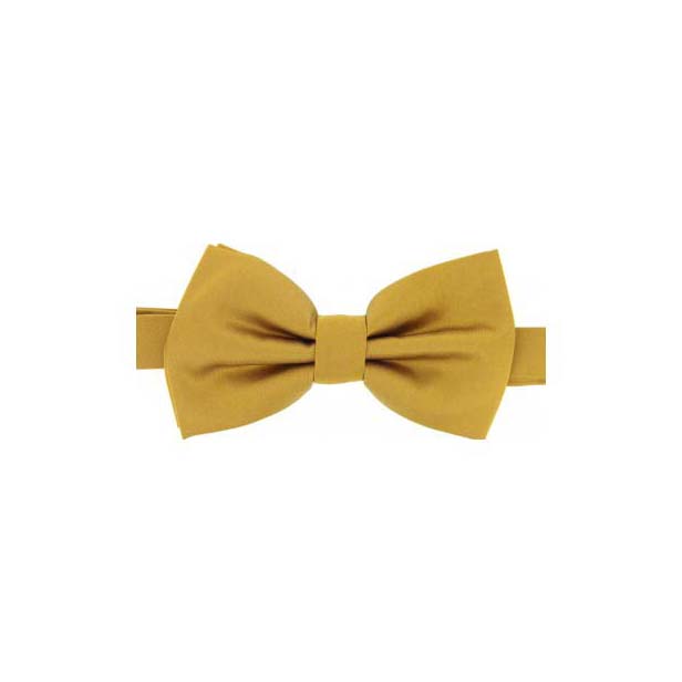 Download Gold Satin Silk Luxury Bow Tie
